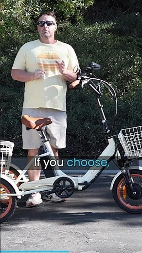 Versatile Electric Trike: A Closer Look at the Powerful Electronics