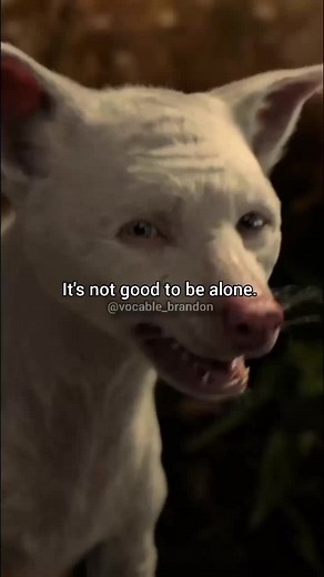 Mowgli: The Best Wolf Friendship Explained