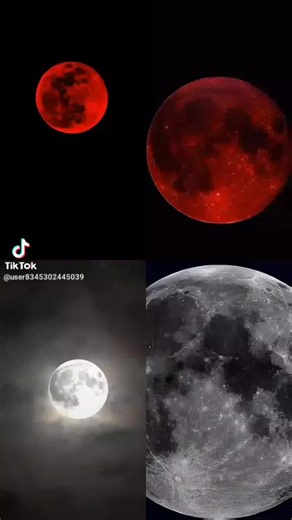 NBBBBB (@nbbb3967)’s videos with original sound - NBBBBB