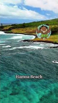 Best Stops on the Road to Hana