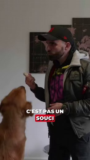 1.2M views · 17K reactions | On est allé rendre visite à Léa, Aurélien et leur chien Tobby !  Tobby saute et ses maîtres ne savent plus comment faire. Tony leur donne quelques conseils   Découvrez tous les conseils pour que votre chien ne saute plus, comme Tobby, dans notre nouveau programme déjà disponible sur la chaîne YouTube Esprit Dog : ➡️ Mon CHIEN SAUTE  Un café et c'est réglé - Ep1 | Esprit Dog - Tony Silvestre | Facebook