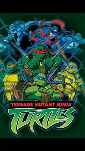 TMNT DVD Collection.