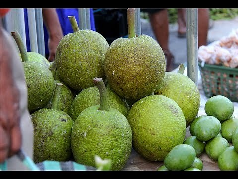 How To Roast A Breadfruit On Your Outdoor Grill | #FoodFAQ