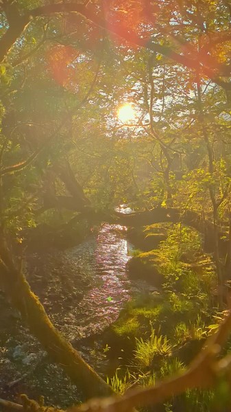 Divine Altar Arts on TikTok