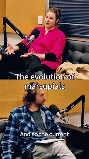 Ep 26 Fossils and Evolution | Associate Professor Natalie Warburton