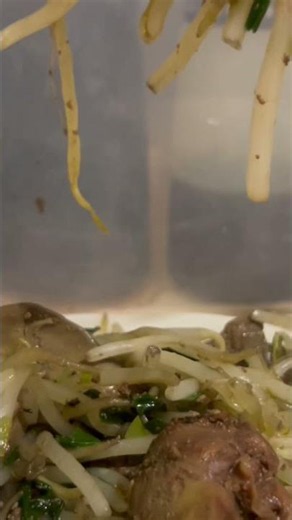 【レバニラ炒め】 #asmr #鶏のレバー