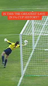 David Seaman produced an incredible save in Arsenal's 2003 semi-final win against Sheffield United 🧤 #EmiratesFACup | The Emirates FA Cup