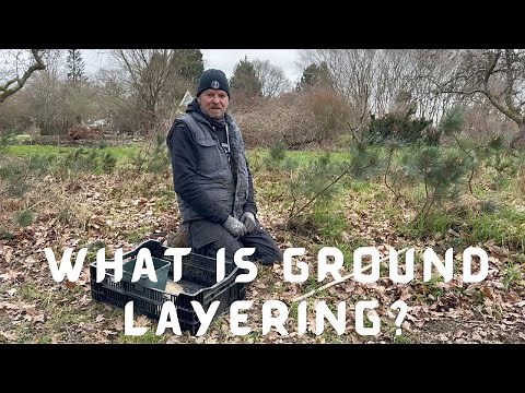 What is Ground Layering?