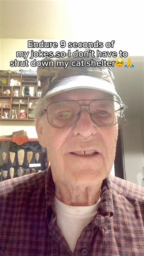 Every donation matters❤️(link in bio) #cat #shelter #rescue #donate #pets Post picture of your cat🐱