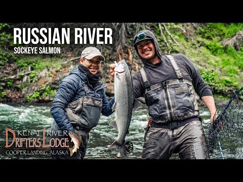 Russian River Sockeye Salmon Fishing