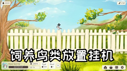 [新游] 鸟类放置挂机，还能获得珍贵鸟蛋！-STEAM新品节-试玩-独立-Birdfull Demo_哔哩哔哩bilibili_试玩