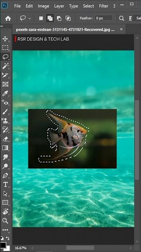 Photoshop Stack Layer Trick 🔥 Blend 2 Images Like a Pro