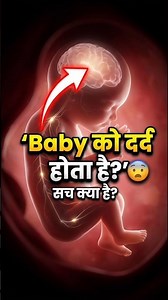 Can a Baby Feel Pain in the Womb? 😨 The Truth Revealed! #pregnancy #baby #science #shorts