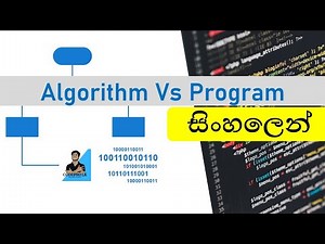 Algorithm Vs Program | What is an Algorithm? | What is a Program? | Sinhala