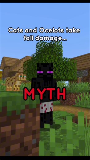 Minecraft Mythbusters: Part 1 Revealed