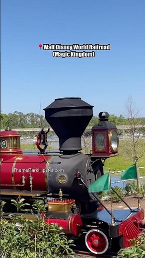 AMAZING VIEWS OF DISNEY 🤩 Walt Disney World Railroad at the Magic Kingdom