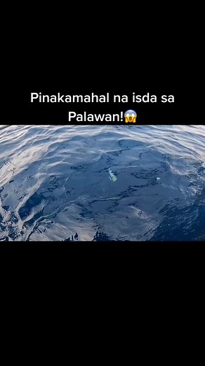 #AmazingSea#Amazingvideos#fyp#underwater #Fishing #adventure #amazing