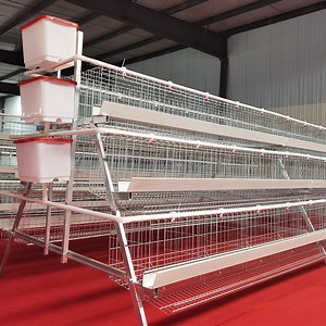 [Hot Item] Cheap Large Walk in Chicken Run Coop and Chicken Cage Hen Houses