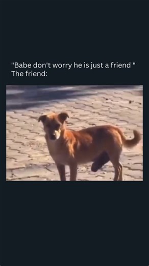 Dank Clips on Instagram: ""