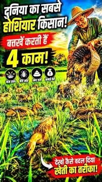 😱Why do farmers release ducks into their fields?😱#shorts #ytshorts #viral #trending #facts #anima...