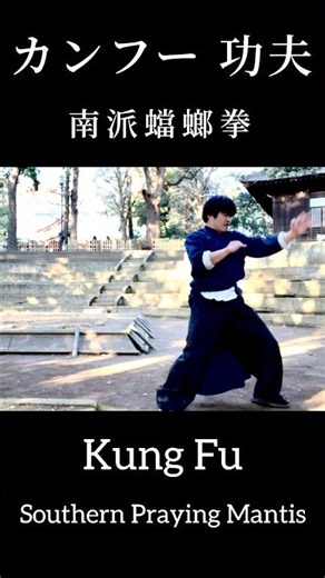 カンフー 功夫 型 練習 【南派蟷螂拳 】客家 Kung Fu Form Training Drill Southern Praying Mantis Hakka System