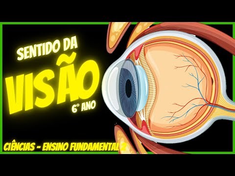 How does vision work? | Sense of sight | Science - Full lesson | 2022