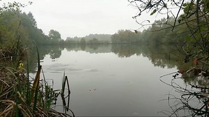 94K views · 1K reactions | Just wait for it......  Thanks to Nash consultant Neil Golden for capturing this moment up close! | Nash Tackle | Facebook