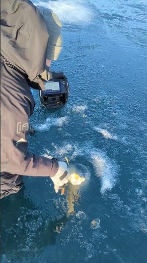 Grand Traverse Bay 2026 #laketrout #icefishing #release