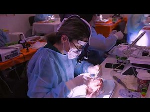 Master Clinician Program in Implant Dentistry: Los Angeles Jan 27-31, 2026 | gIDE Institute