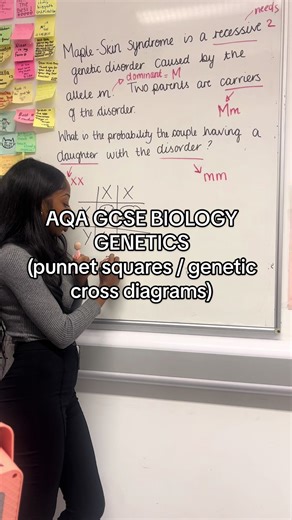 Understanding Punnett Squares in Genetics for Students