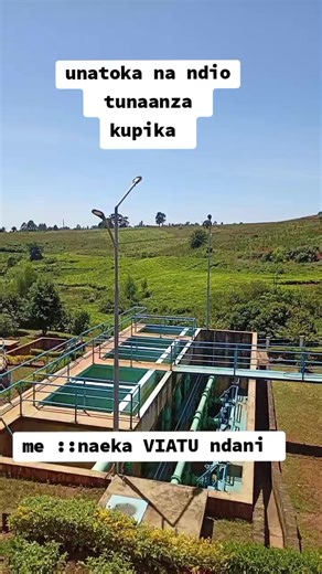 Tonnie (@tonnie.toxic)’s videos with original sound - recho decoration