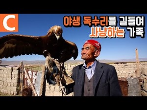 몽골 소수민족의 사냥법, 야생 독수리 사냥꾼