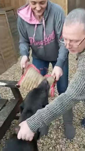 how to use a break stick properly link in description to buy