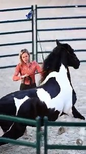 399K views · 6.6K reactions | The After movie of the Open Problem...