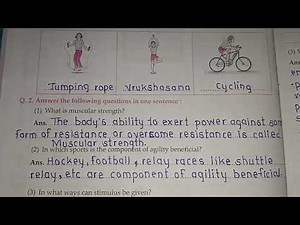 9th std health and physical education workbook lesson 1 physical fitness and wellness solution