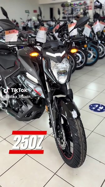 Compra tu Motocicleta Italika 250Z en Nuevo León