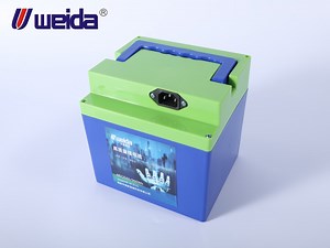 [Hot Item] Weida 48V20ah/960wh Lithium Battery Rechargeable/Long Life/Deep Cycle/ LiFePO4 for Electric Bicycle/E-Bike/Electric Scooter