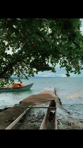 #manonoisland🌊 #viral #fypシ゚viral🖤tiktok