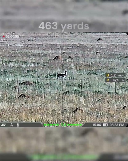 424m Springbok Headshot | Long Range Hunting