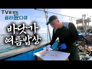 🐟바로 여기가 횟집! 잡아서 바로 먹는 재미 쏠쏠한 바닷가 여름 밥상🐟 1시간 몰아보기｜한국기행｜#tv로보는골라듄다큐