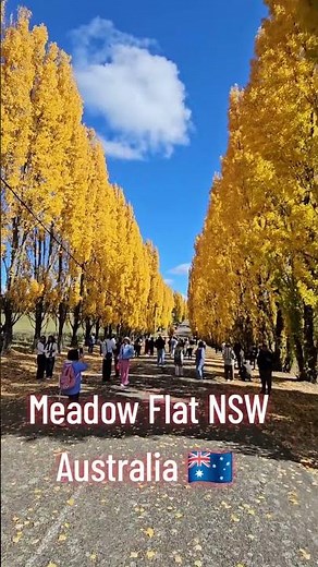 Meadow Flat NSW 🇦🇺 | Hidden Gem in the Blue Mountains Region (4K Drive & Scenery)