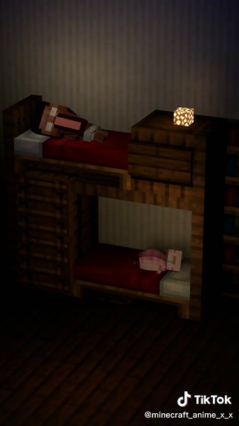 Crazy Minecraft Compilation