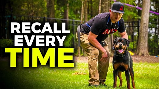 1.5M views · 32K reactions | In this video, Garrett walks you through...