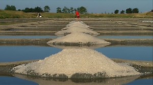 Harvesters of the Bay - Alchetron, The Free Social Encyclopedia