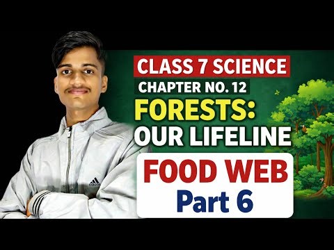 Class 7th science|Chapter-12| Forest:our lifeline|PART-6 @tnb_biology