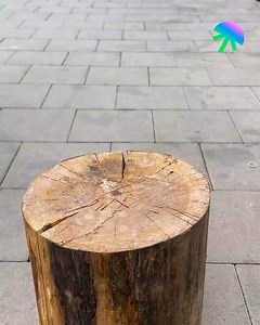 18K views · 40 reactions | Axe handle fix #lifehacks #lifehack #diy #diyfix #quickfix #quicksolution | The Daily Dose | Facebook