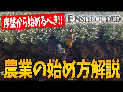【エンシュラウデッド】農業の始め方、畑の作り方解説！！【Enshrouded~霧の王国~｜攻略｜ゲーム実況】
