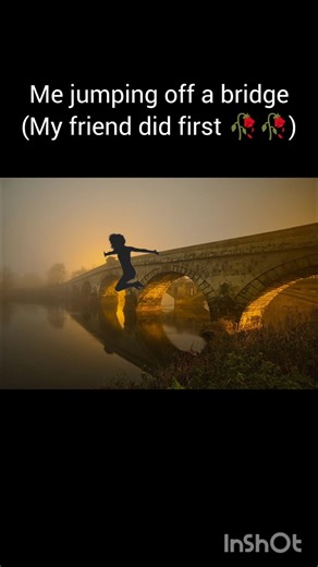 Jumping off a bridge(My friend did first 🥀).