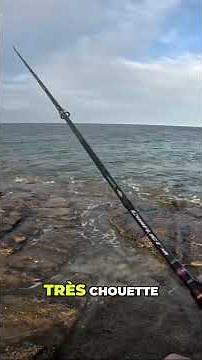 Epic Fishing Trip: Incredible Catch! Fish and Excitement! #shorts