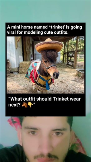 Mini Horse Trinket Goes Viral Modeling the Cutest Outfits Ever 🐴👗